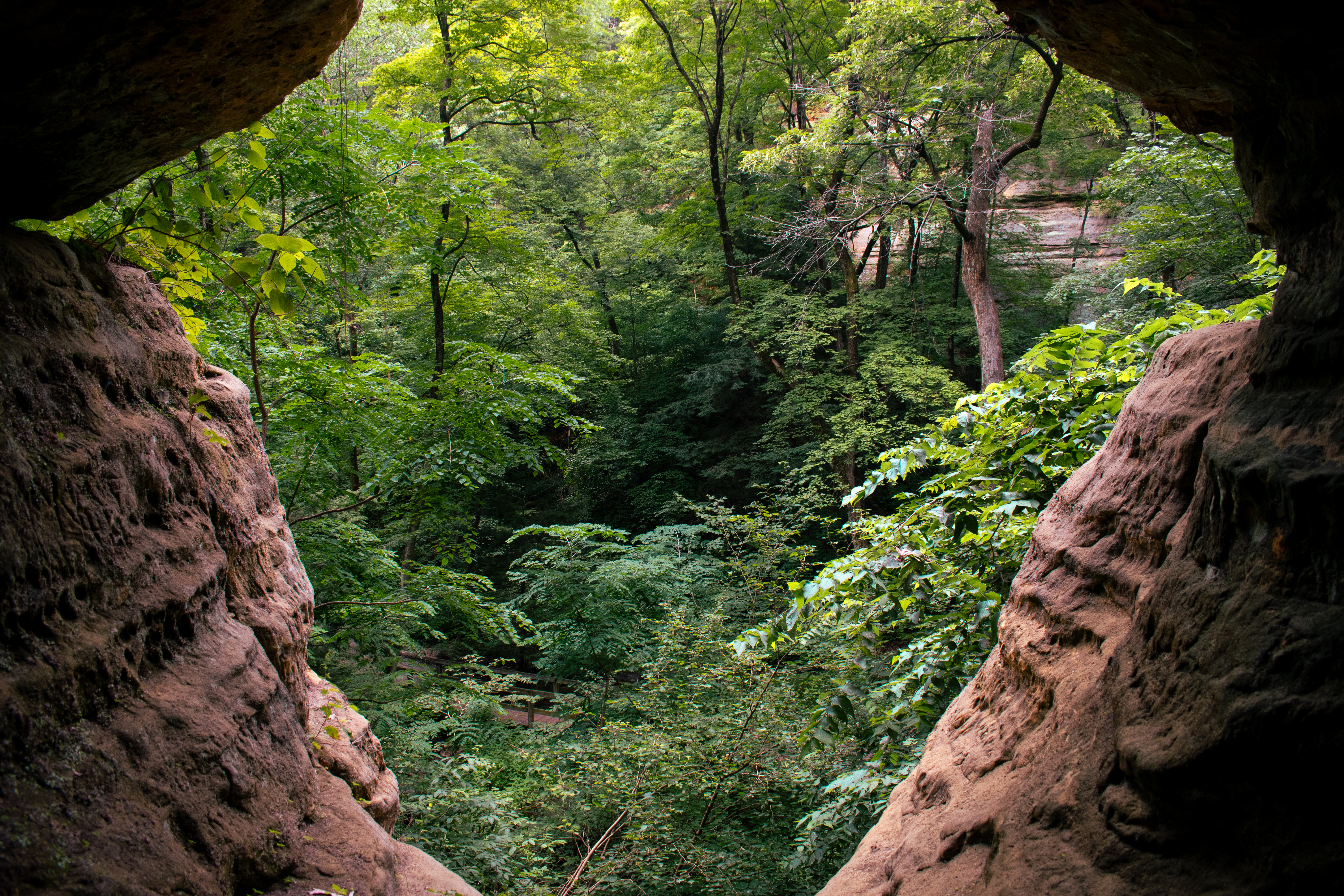 Forest view framed by cave-like rock walls